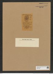 Auliscus stellatus H. L. Smith (de-Toni-Nr.: Genus 171, Species 4364) Zeichnungen Sammlung Grunow Nr. 7932 (NHMW-BOT-W0377209)